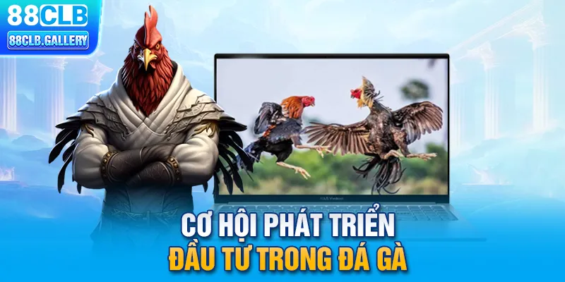 Cơ hội phát triển đầu tư trong đá gà